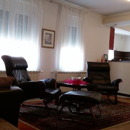 Apartment Krsmanovic Arandjelovac Dış mekan fotoğraf